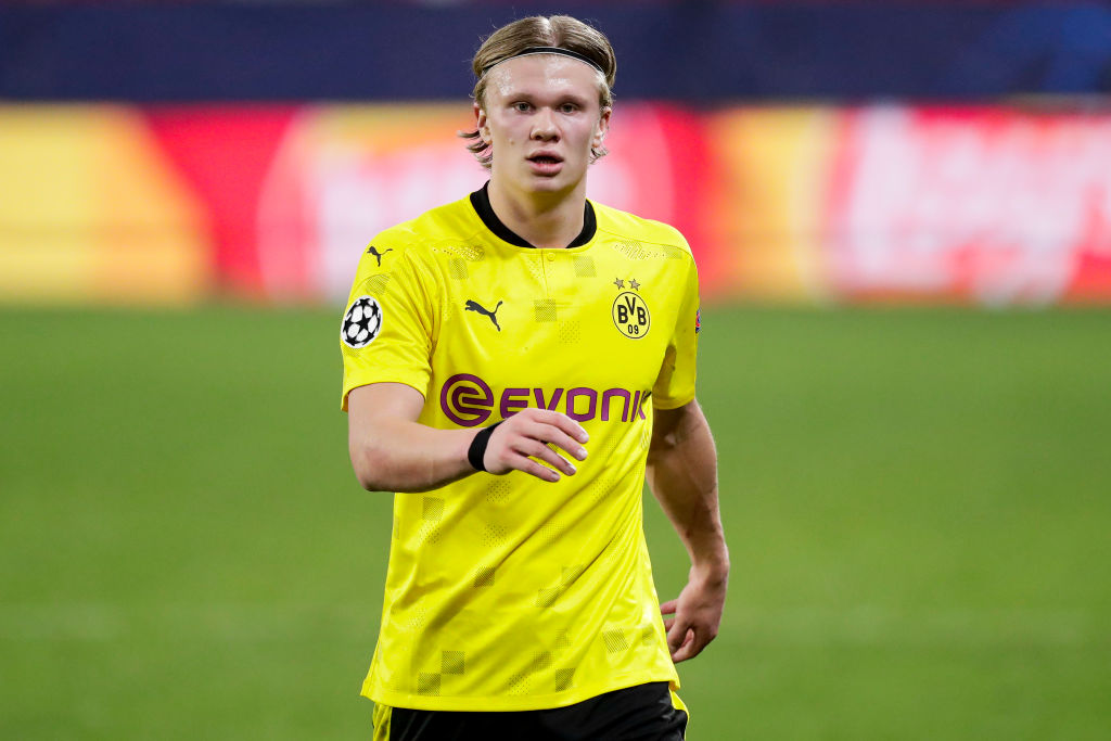 在草地上证 在草地上证