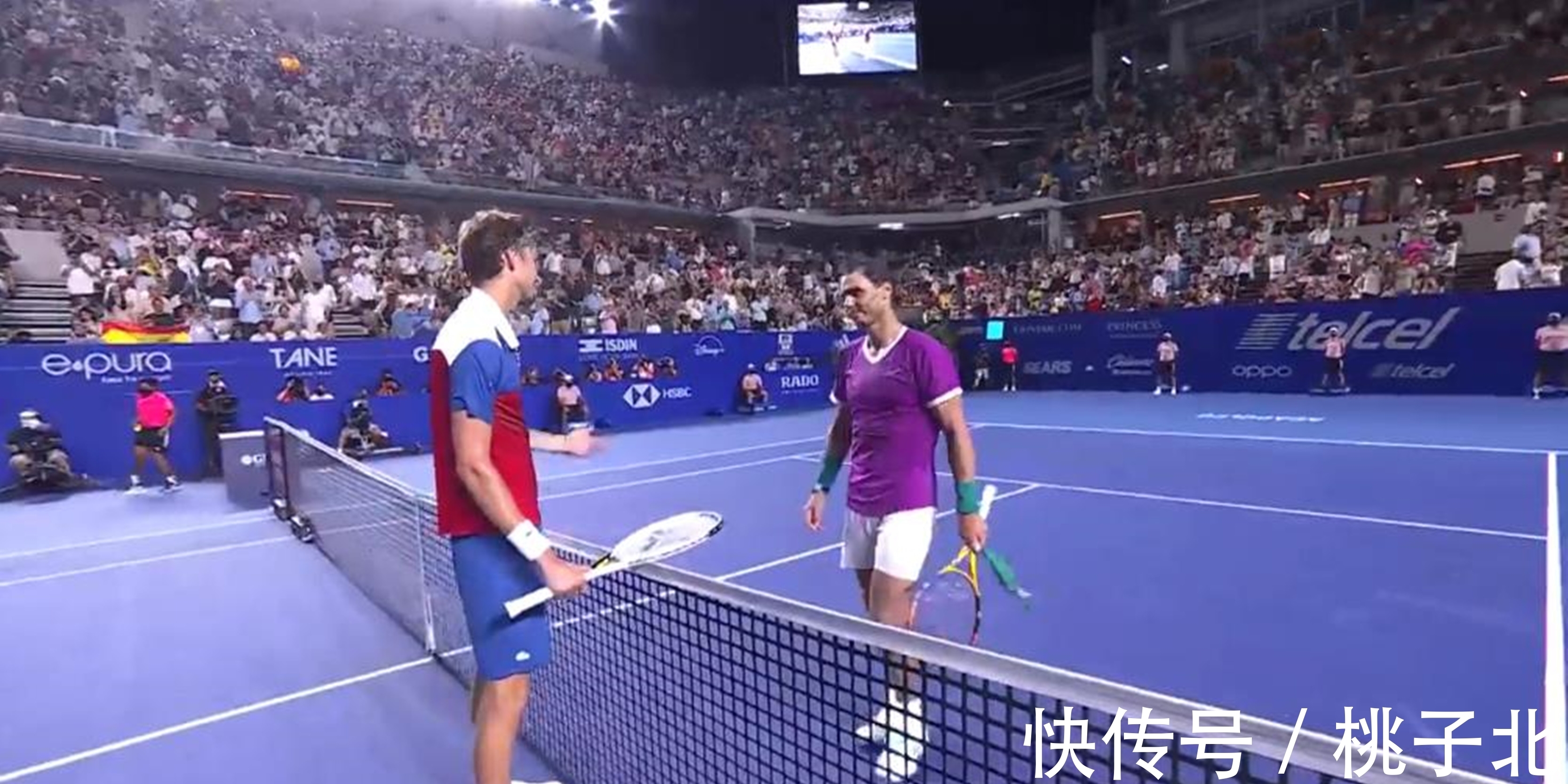 可以看到兰 可以看到兰